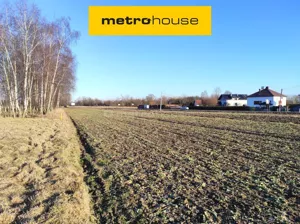 Działka 3 899,00 m², Zasole, Załęcze, Sprzedaż