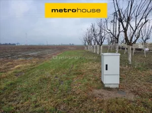 Działka 80 900,00 m², Zaścianki, Sprzedaż