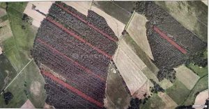 Działka 26 300,00 m², Żmijewo-Ponki, Sprzedaż