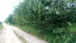 Działka 822,00 m², Radzewo, Żytnia, Sprzedaż