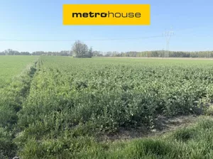 Obiekt 42 800,00 m², Krubin, Sprzedaż