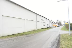 Magazyn 1 500,00 m², Bogdaniec, Wynajem