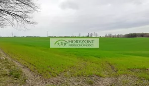 Działka 1 222,00 m², Borcz, Sprzedaż