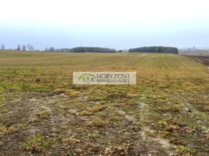 Działka 20 000,00 m², Borcz, Sprzedaż