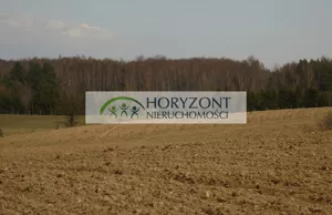 Działka 12 165,00 m², Grabowska Huta, Sprzedaż