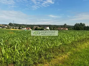 Działka 3 000,00 m², Niestępowo, Sprzedaż