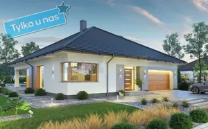 Domy 5432/2145/ODS Nasielsk