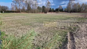 Działka 1 500,00 m², Borzęcin Duży, Sprzedaż