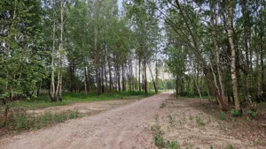 Działka 1 500,00 m², Borzęcin Duży, Sprzedaż