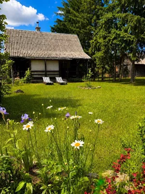 Działka 600,00 m², Brańszczyk, Sprzedaż