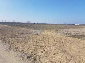 Działka 4 500,00 m², Cząstków Mazowiecki, Sprzedaż