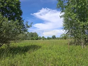 Działka 916,00 m², Dąbrowa, Sprzedaż