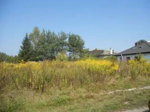 Działka 2 066,00 m², Dębina, Sprzedaż