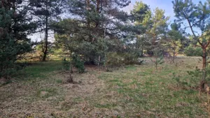 Działka 2 000,00 m², Dziekanów Polski, Sprzedaż