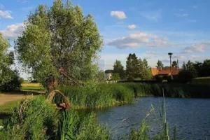Działka 10 700,00 m², Dziekanów Polski, Sprzedaż