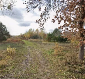 Działka 4 666,00 m², Izabelin-Dziekanówek, Sprzedaż