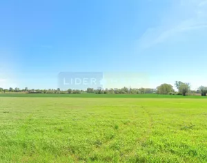 Działka 16 407,00 m², Kazuń Nowy, Sprzedaż