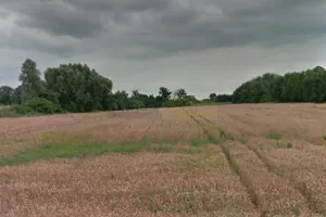 Działka 7 120,00 m², Kazuń Nowy, Sprzedaż