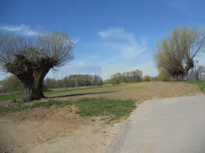 Działka 1 380,00 m², Kiełpin, Sprzedaż