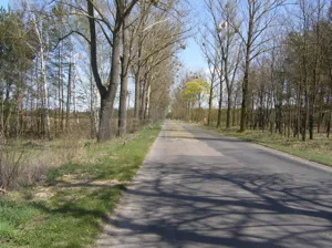 Działka 1 321,00 m², Nowe Grochale, Sprzedaż