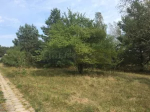 Działka 3 000,00 m², Pieńków, Sprzedaż