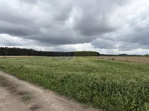 Działka 12 100,00 m², Wilamy, Sprzedaż