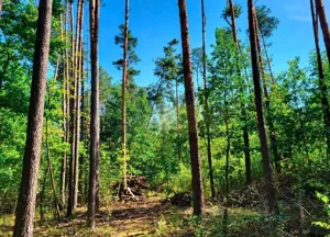 Działka 1 200,00 m², Wojcieszyn, Sprzedaż