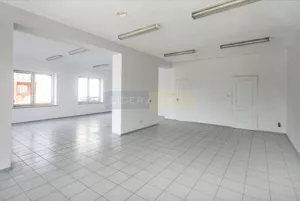 Lokal użytkowy 350,00 m², Dziekanów Leśny, Wynajem