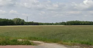 Działka 111 000,00 m², Płock, Sprzedaż