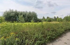 Działka 25 000,00 m², Warszawa, Włochy, Sprzedaż