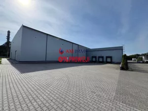 Magazyn 2 687,00 m², Aleksandrów Łódzki, Sprzedaż