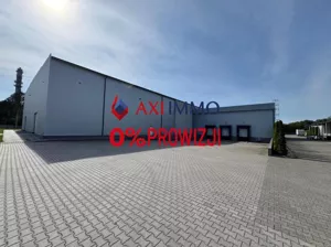 Magazyn 2 687,00 m², Aleksandrów Łódzki, Wynajem