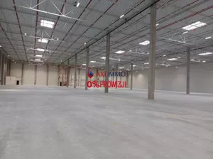 Magazyn 3 000,00 m², Łódź, Wynajem
