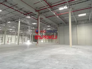 Magazyn 2 000,00 m², Łódź, Górna, Wynajem