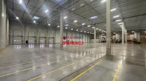 Magazyn 3 500,00 m², Łódź, Widzew, Wynajem