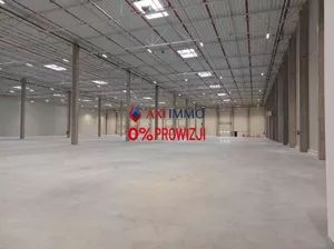 Magazyn 15 000,00 m², Pabianice, Wynajem