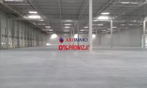 Magazyn 2 351,00 m², Plewiska, Wynajem