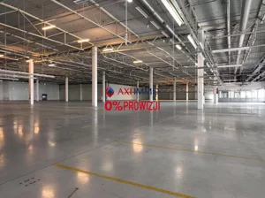 Magazyn 5 300,00 m², Rzgów, Wynajem