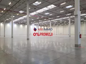 Magazyn 4 800,00 m², Stryków, Wynajem