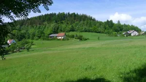 Domy 853/3470/ODW Wisła