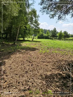 Działka 3 200,00 m², Antoniew, Sprzedaż