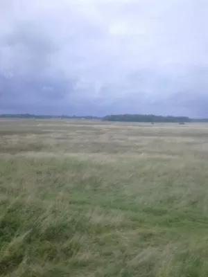 Działka 3 000,00 m², Barzowice, Sprzedaż