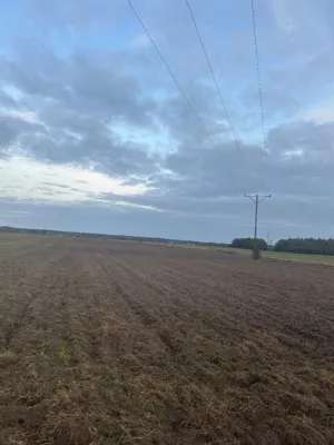 Działka 66 100,00 m², Łękinia, Sprzedaż