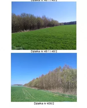 Działka 23 200,00 m², Lubowidza, Sprzedaż