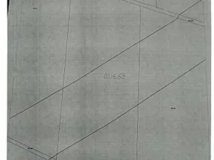 Działka 87 233,00 m², Niemica, Sprzedaż
