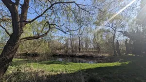 Działka 3 700,00 m², Stary Lubiel, Sprzedaż