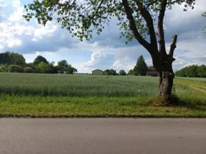 Działka 1 800,00 m², Strzelce, Sprzedaż