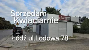 Lokal użytkowy 50,00 m², Łódź, Widzew, Sprzedaż