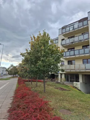 Lokal użytkowy 33,50 m², Warszawa, Ursynów, Wynajem