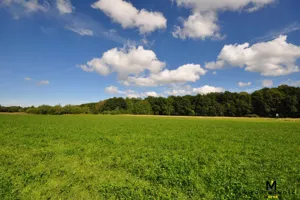 Działka 3 778,00 m², Będzino, Sprzedaż